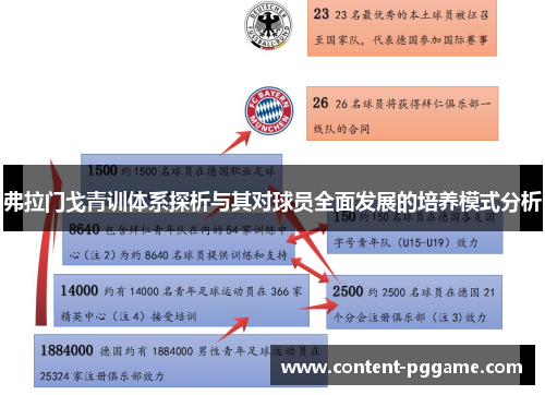 弗拉门戈青训体系探析与其对球员全面发展的培养模式分析