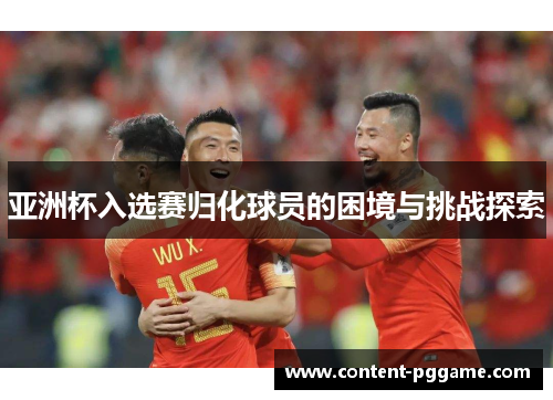 亚洲杯入选赛归化球员的困境与挑战探索