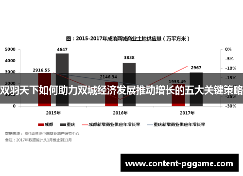 双羽天下如何助力双城经济发展推动增长的五大关键策略