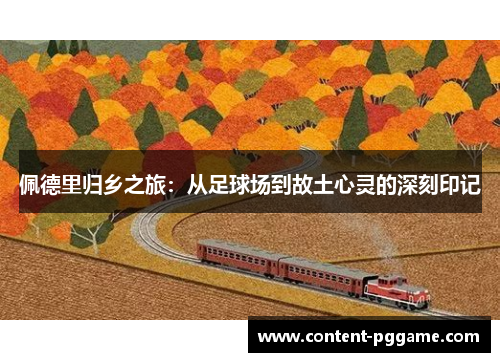 佩德里归乡之旅：从足球场到故土心灵的深刻印记