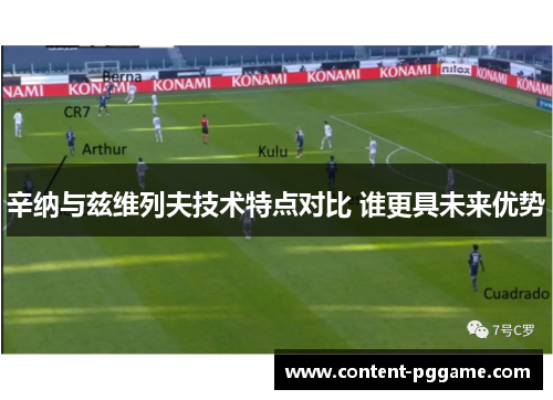 辛纳与兹维列夫技术特点对比 谁更具未来优势