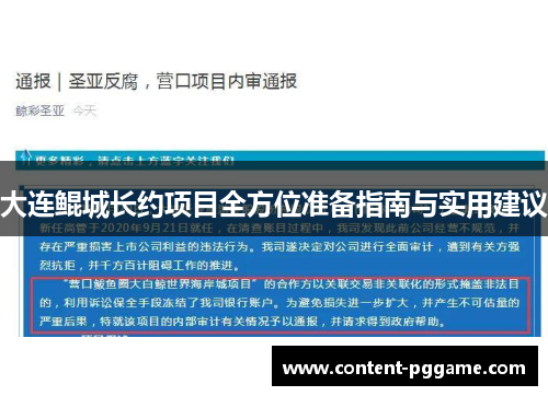 大连鲲城长约项目全方位准备指南与实用建议