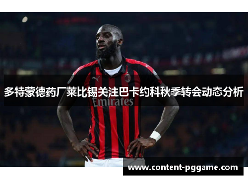 多特蒙德药厂莱比锡关注巴卡约科秋季转会动态分析