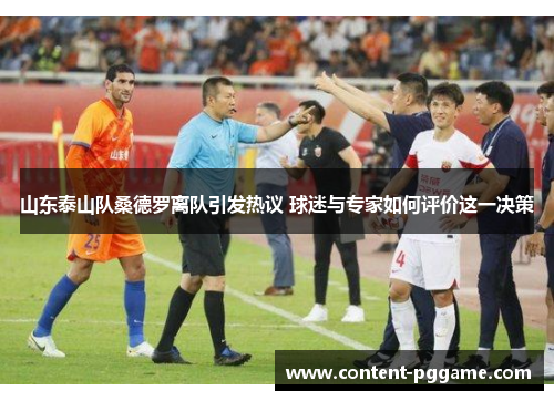 山东泰山队桑德罗离队引发热议 球迷与专家如何评价这一决策