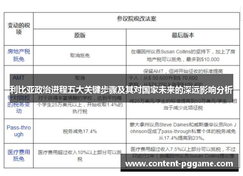 利比亚政治进程五大关键步骤及其对国家未来的深远影响分析