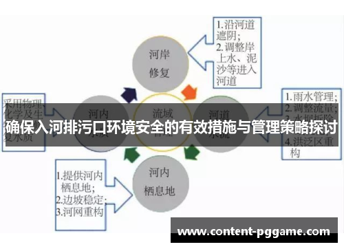 确保入河排污口环境安全的有效措施与管理策略探讨