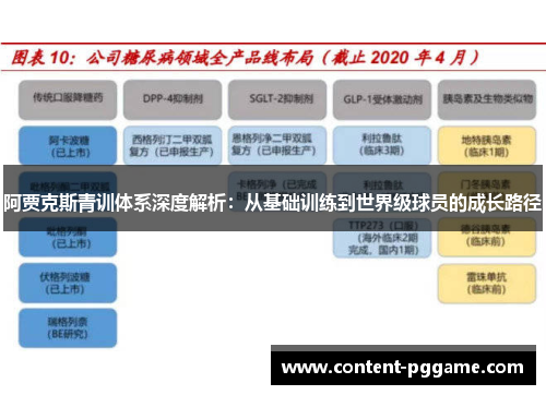 阿贾克斯青训体系深度解析：从基础训练到世界级球员的成长路径