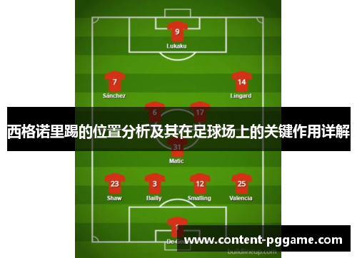 西格诺里踢的位置分析及其在足球场上的关键作用详解