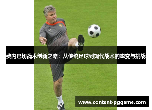 费内巴切战术创新之路：从传统足球到现代战术的蜕变与挑战