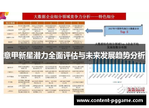 意甲新星潜力全面评估与未来发展趋势分析