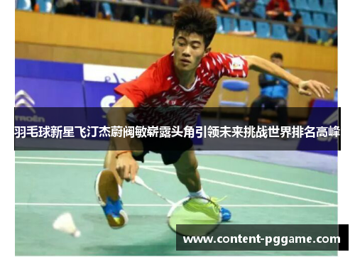 羽毛球新星飞汀杰蔚阀敏崭露头角引领未来挑战世界排名高峰